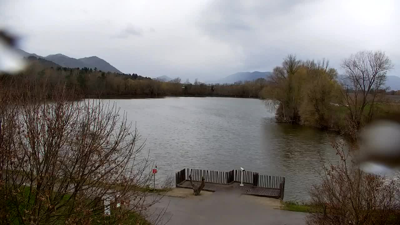 Webcam Ribnik Vrbje – Žalec