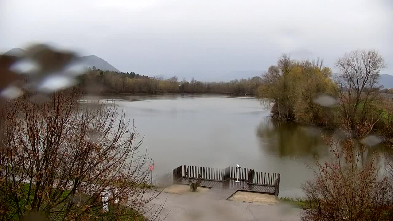 Spletna kamera Ribnik Vrbje – Žalec