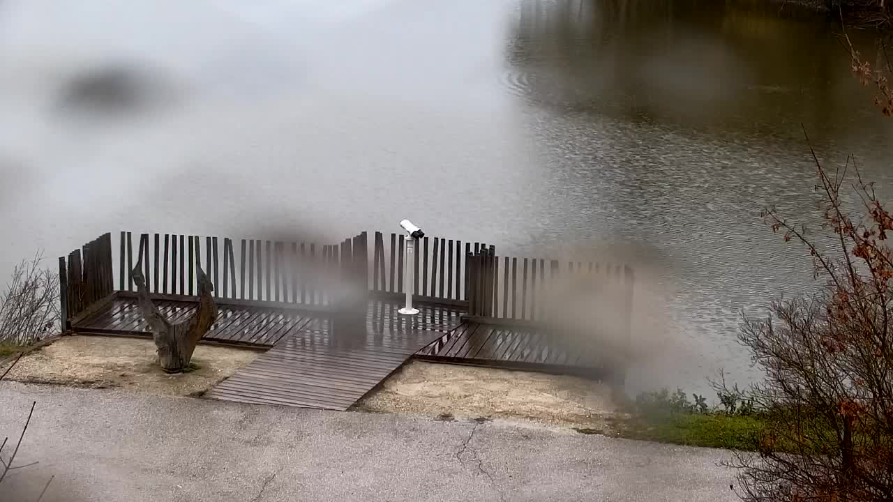 Webcam Ribnik Vrbje – Žalec