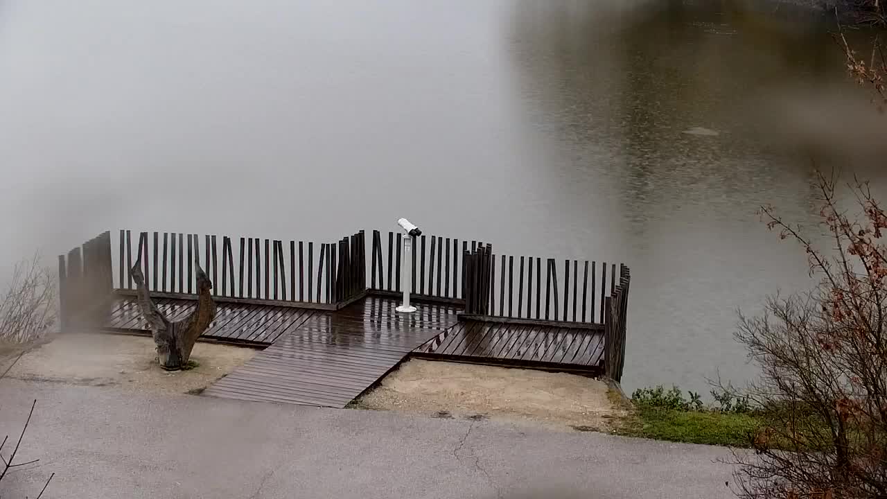 Webcam Ribnik Vrbje – Žalec