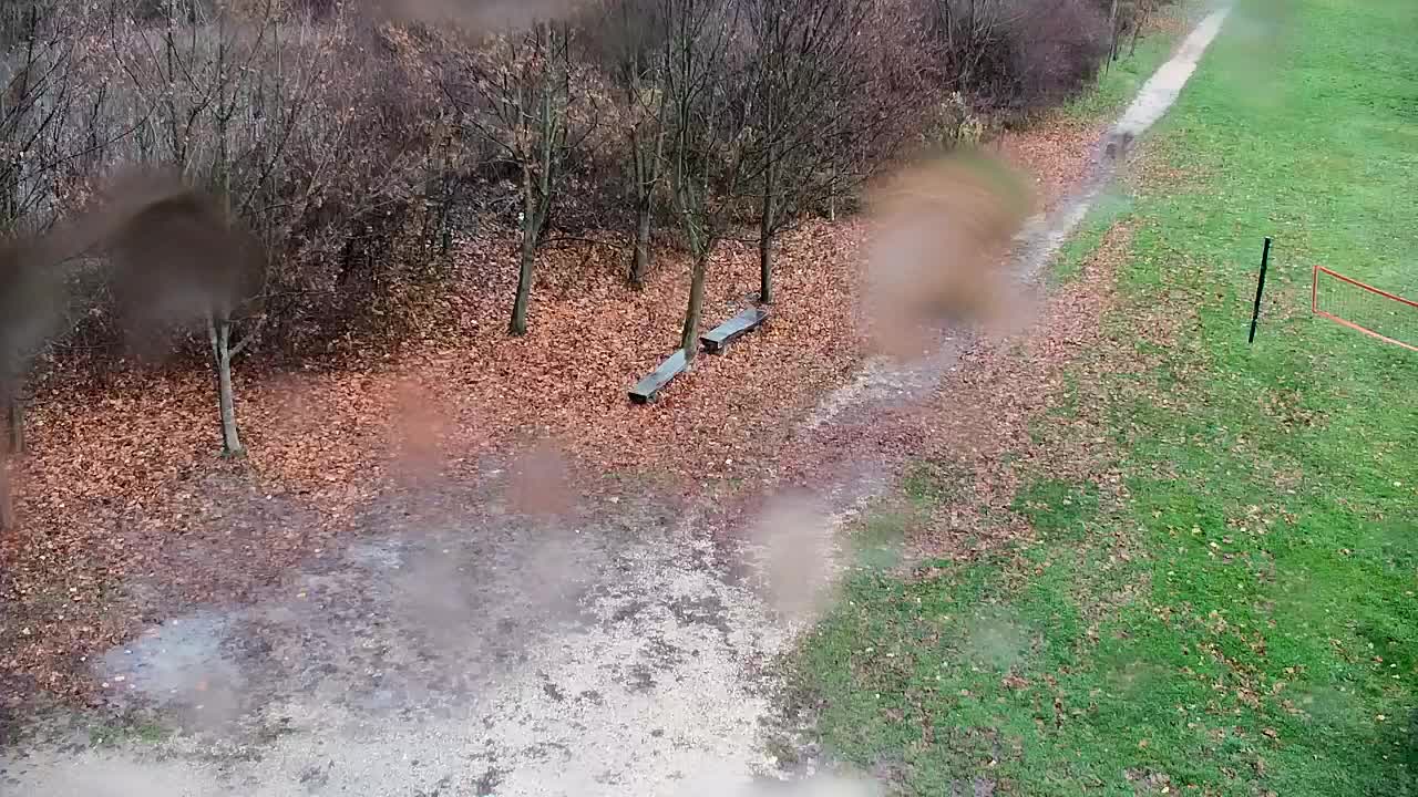 Webcam Ribnik Vrbje – Žalec