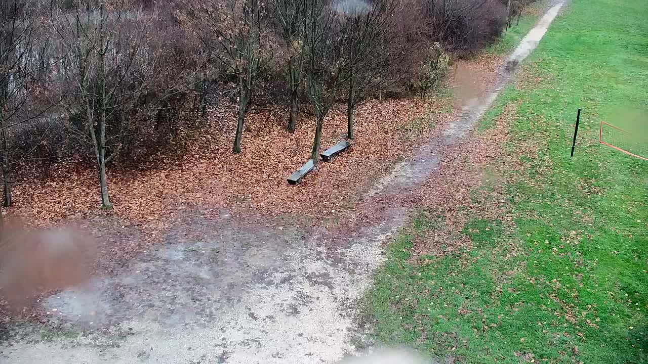 Web kamera Ribnik Vrbje – Žalec