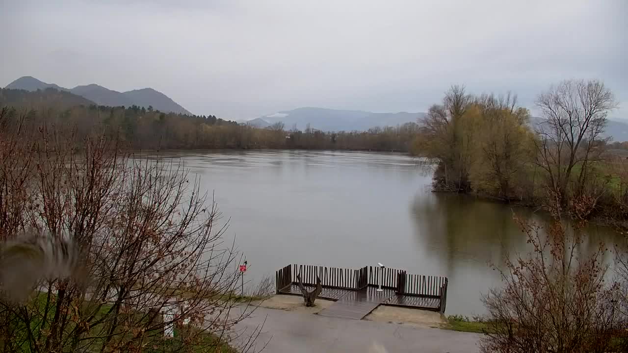 Webcam Ribnik Vrbje – Žalec