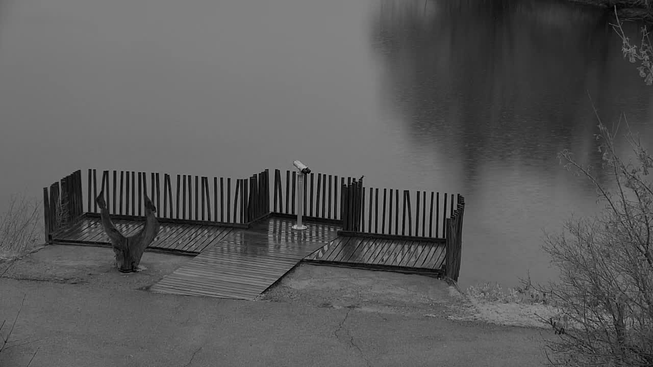 Webcam Ribnik Vrbje – Žalec