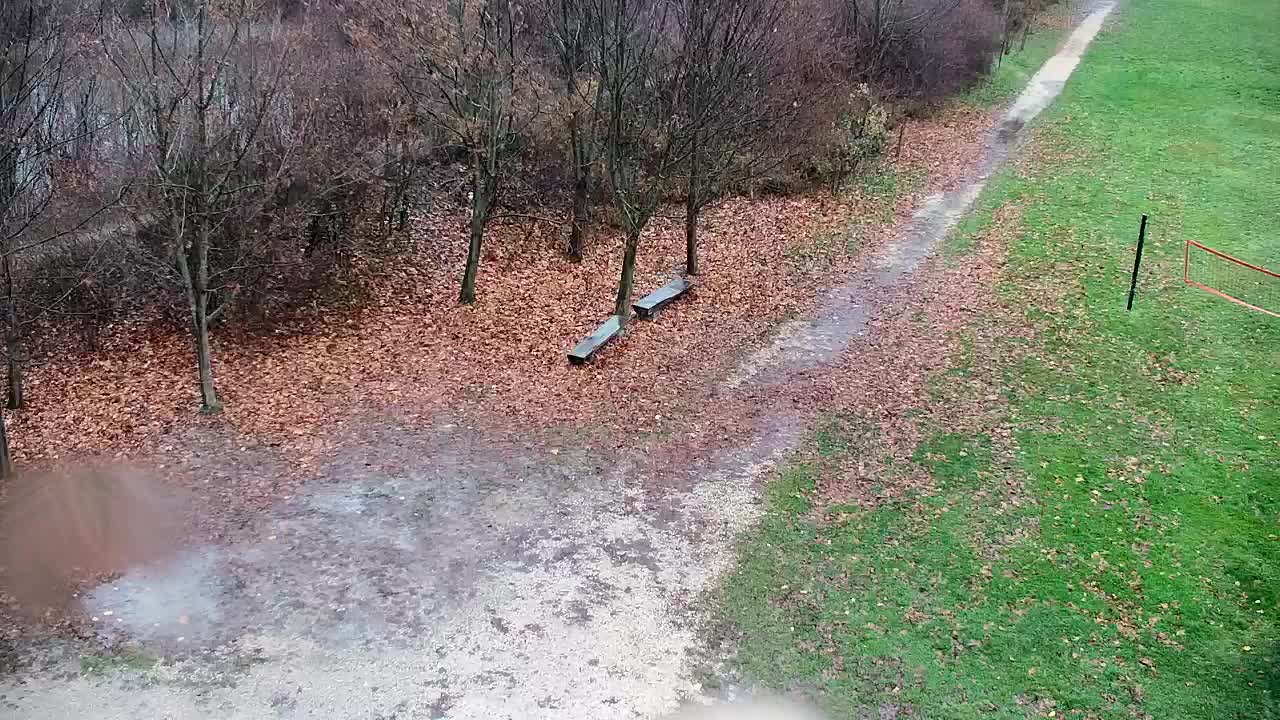 Spletna kamera Ribnik Vrbje – Žalec