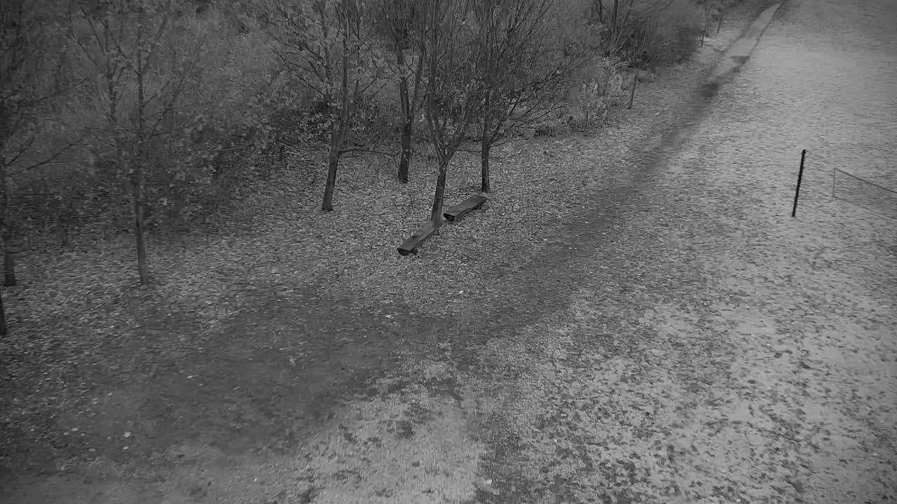 Webcam Ribnik Vrbje – Žalec