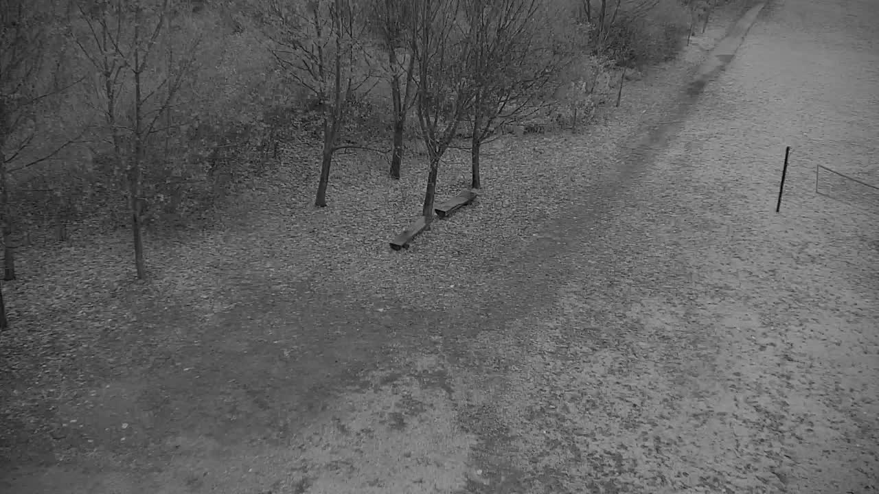 Webcam Ribnik Vrbje – Žalec