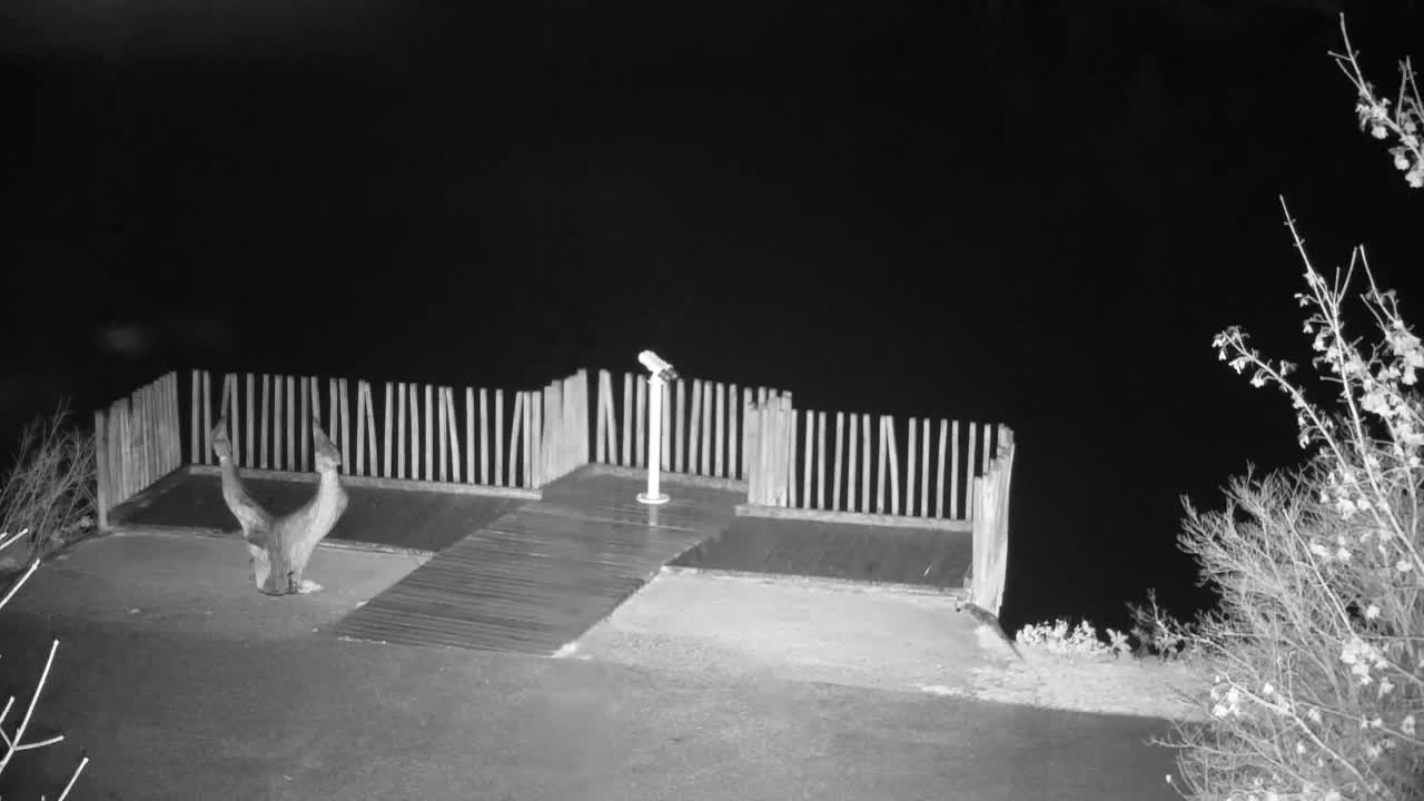 Web kamera Ribnik Vrbje – Žalec