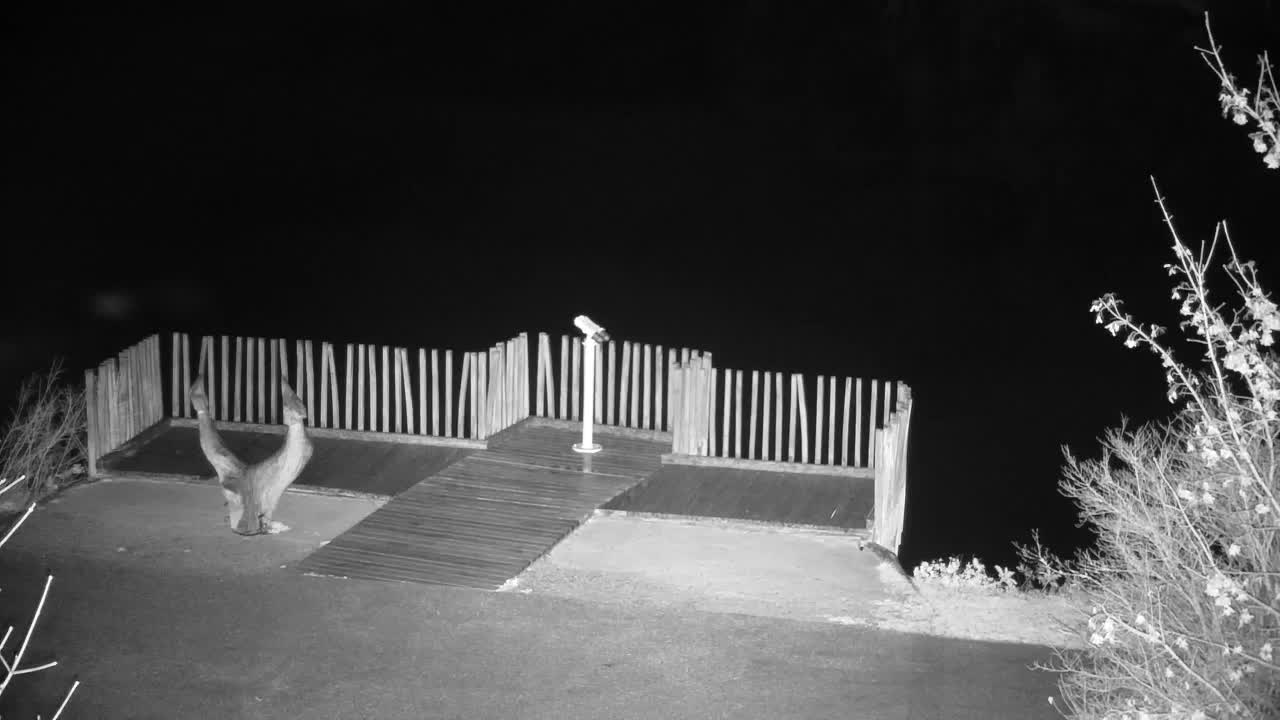 Web kamera Ribnik Vrbje – Žalec