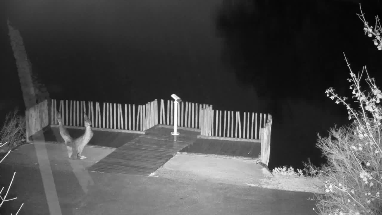 Webcam Ribnik Vrbje – Žalec