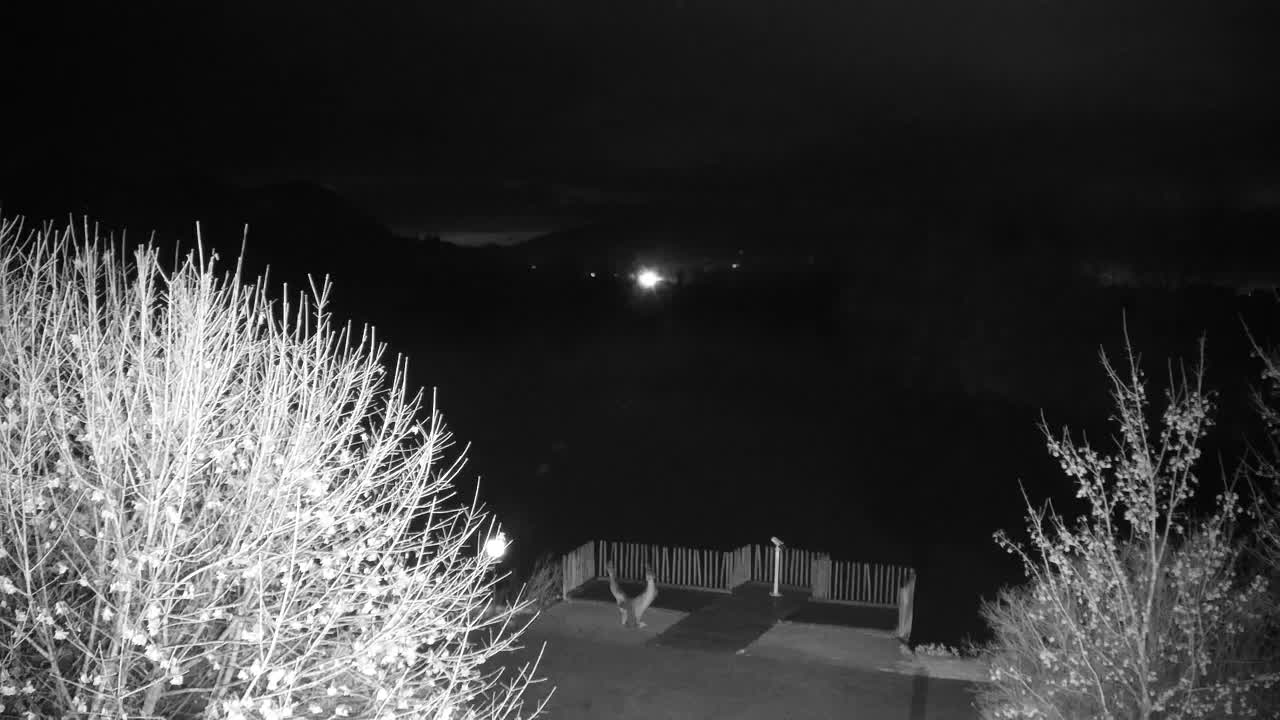 Webcam Ribnik Vrbje – Žalec