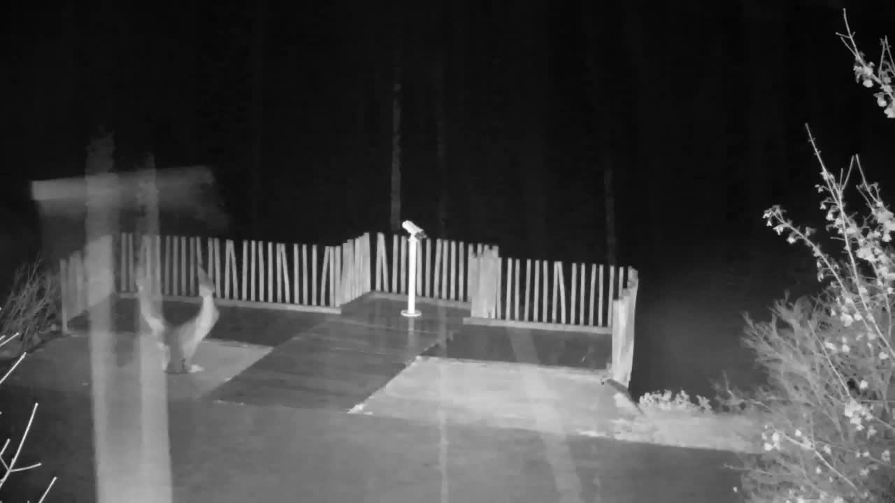 Webcam Ribnik Vrbje – Žalec