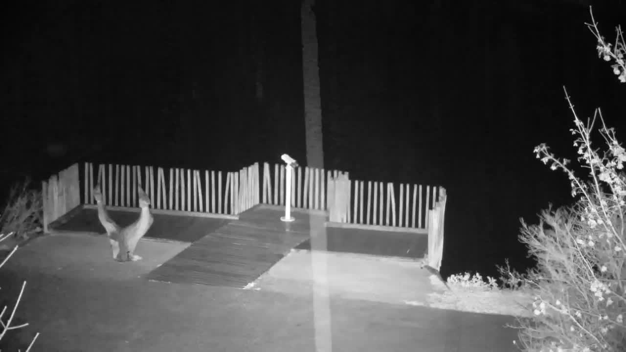 Spletna kamera Ribnik Vrbje – Žalec