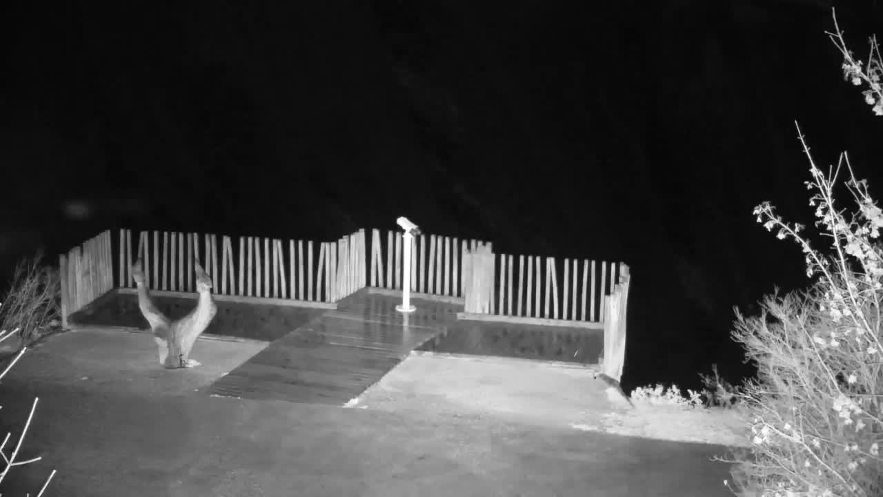 Webcam Ribnik Vrbje – Žalec