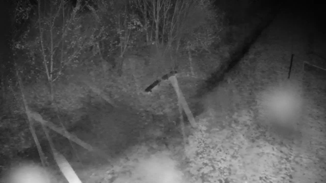 Webcam Ribnik Vrbje – Žalec