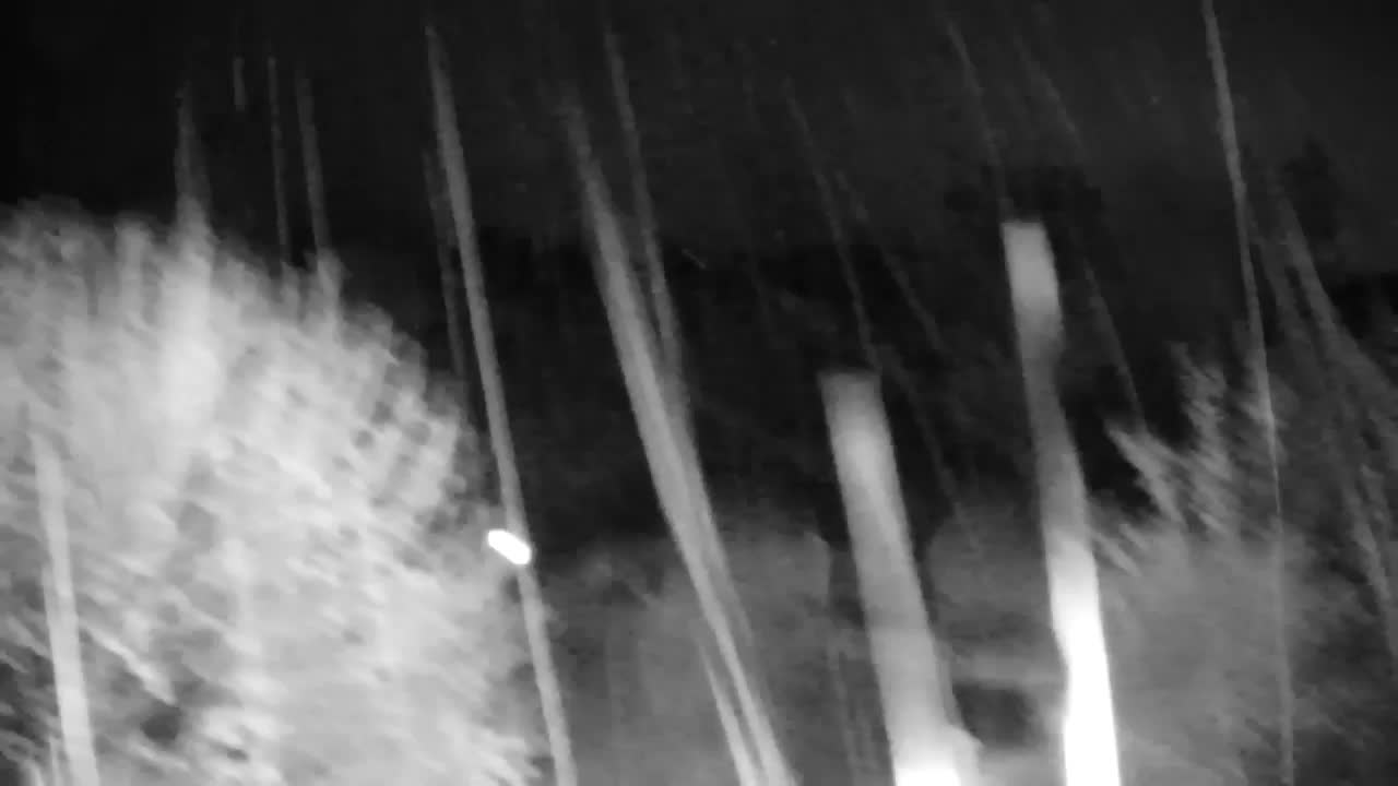 Web kamera Ribnik Vrbje – Žalec