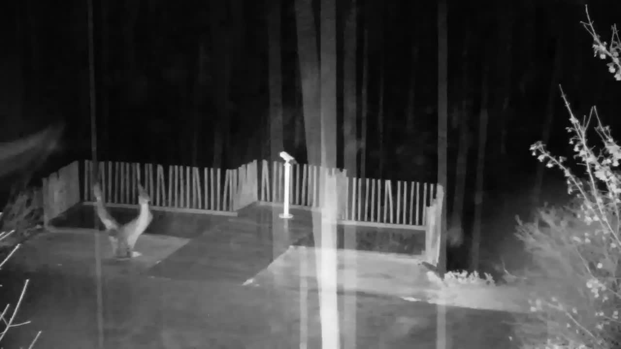 Webcam Ribnik Vrbje – Žalec