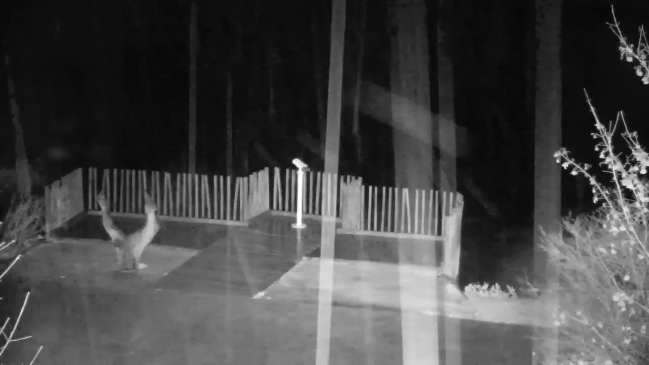 Webcam Ribnik Vrbje – Žalec