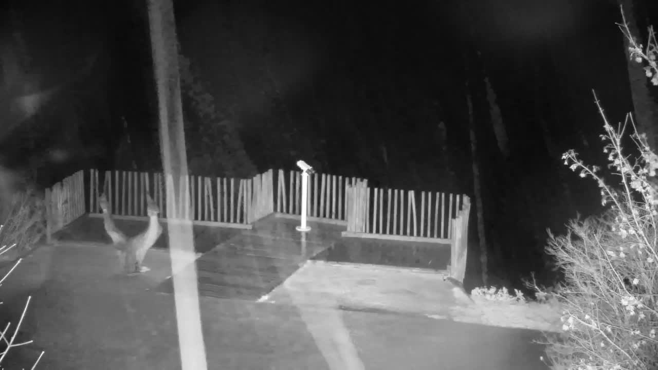 Webcam Ribnik Vrbje – Žalec