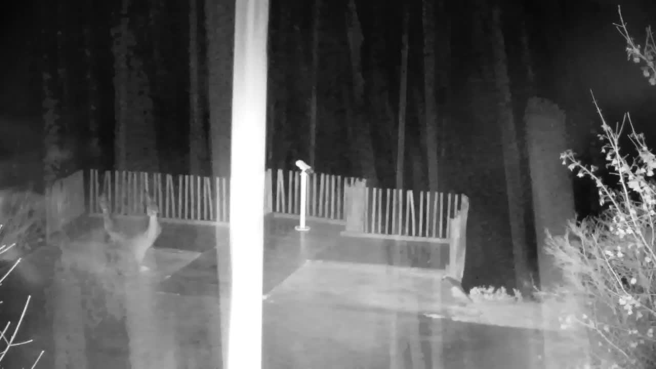 Webcam Ribnik Vrbje – Žalec