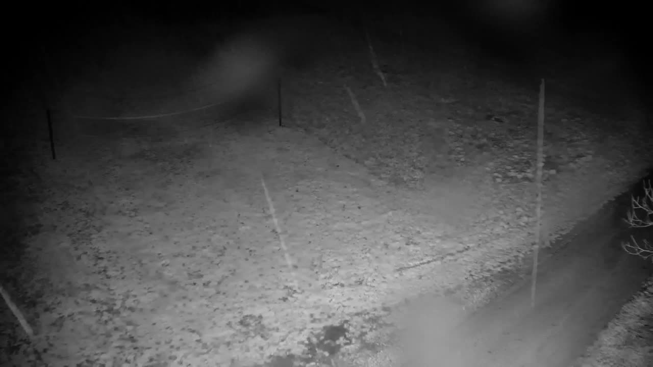 Webcam Ribnik Vrbje – Žalec