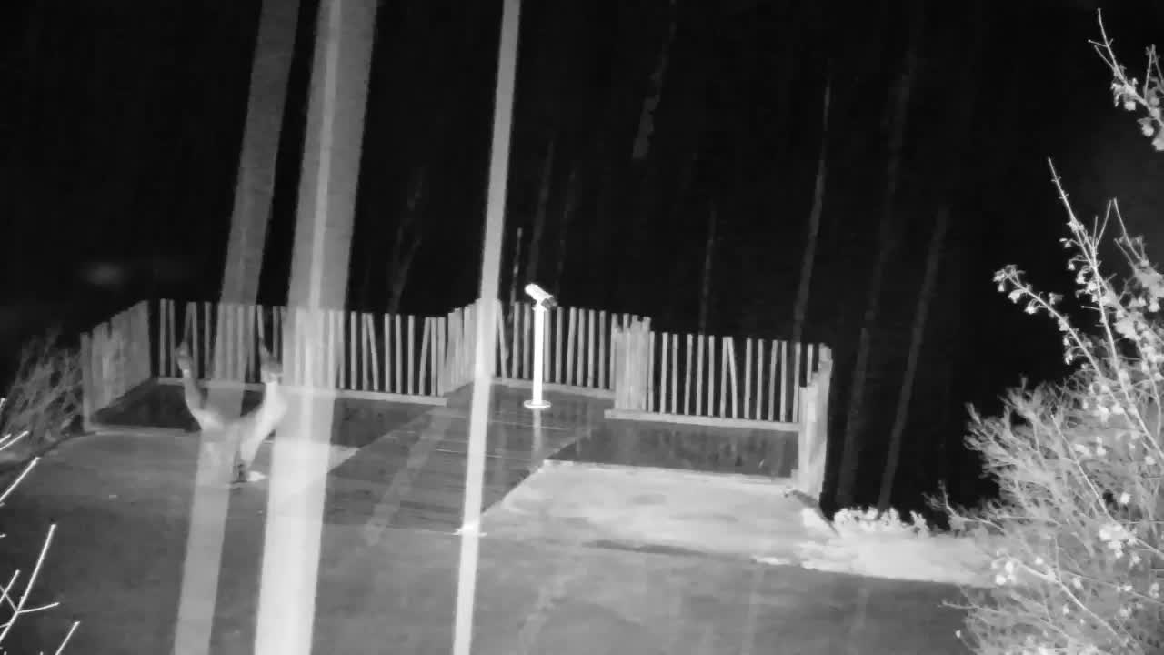 Webcam Ribnik Vrbje – Žalec