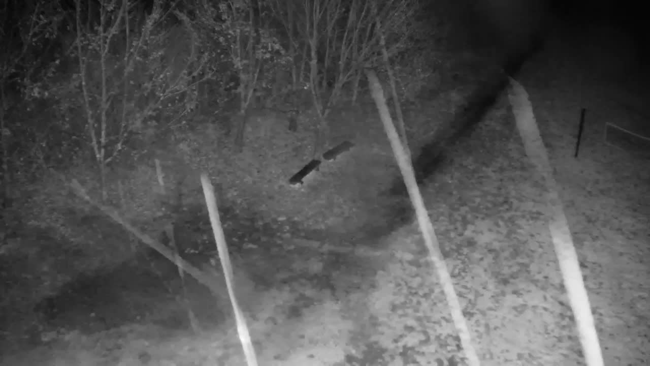 Webcam Ribnik Vrbje – Žalec