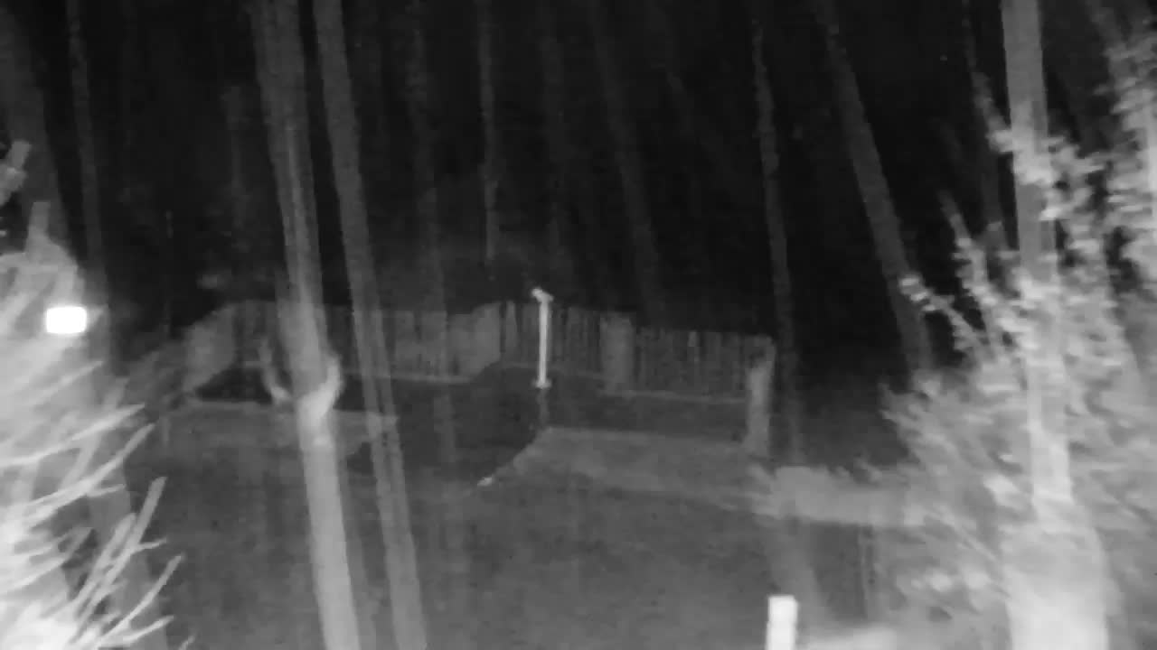 Web kamera Ribnik Vrbje – Žalec