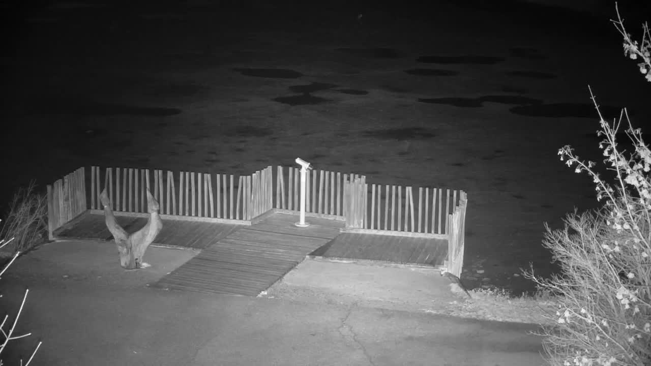 Spletna kamera Ribnik Vrbje – Žalec