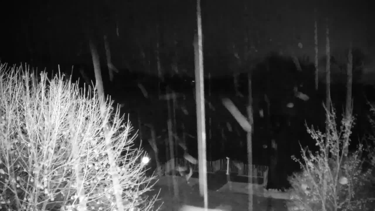 Webcam Ribnik Vrbje – Žalec