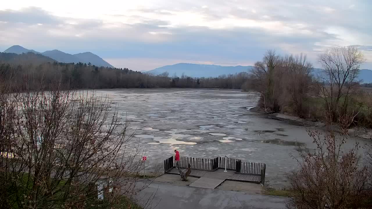 Webcam Ribnik Vrbje – Žalec