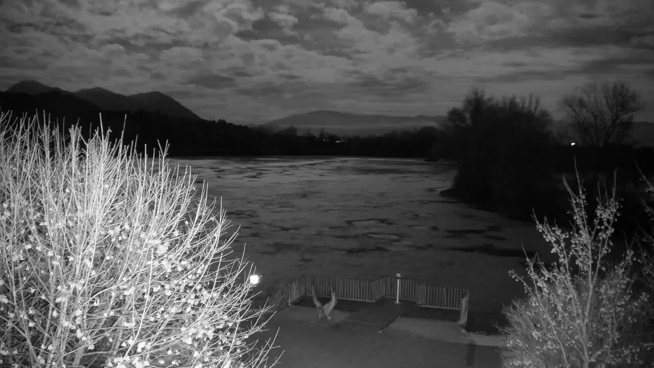 Webcam Ribnik Vrbje – Žalec