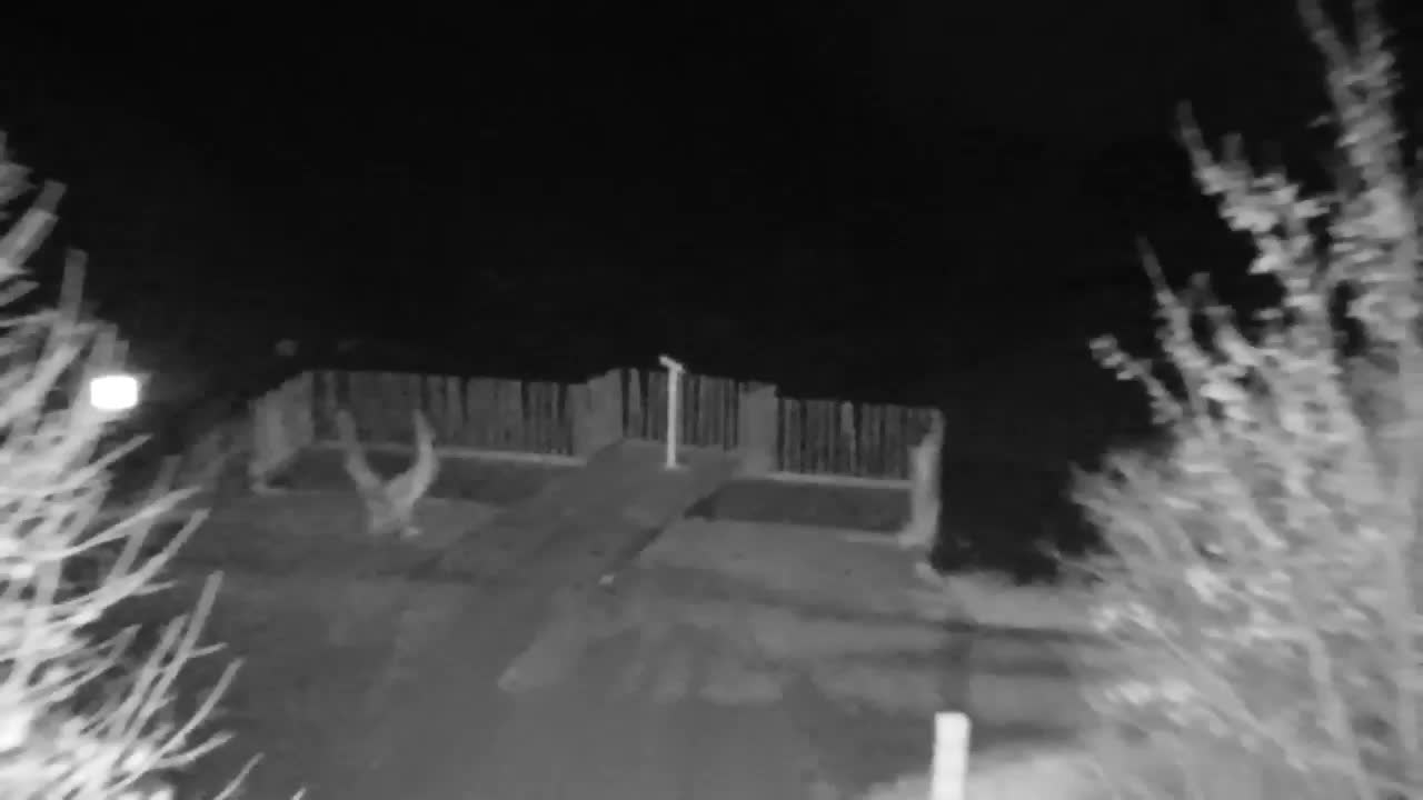 Webcam Ribnik Vrbje – Žalec