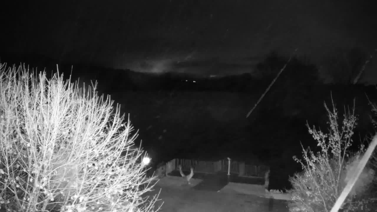 Webcam Ribnik Vrbje – Žalec