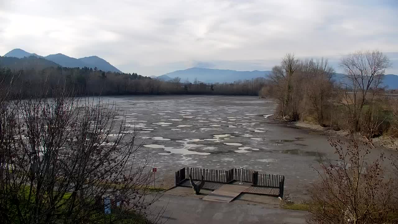 Webcam Ribnik Vrbje – Žalec