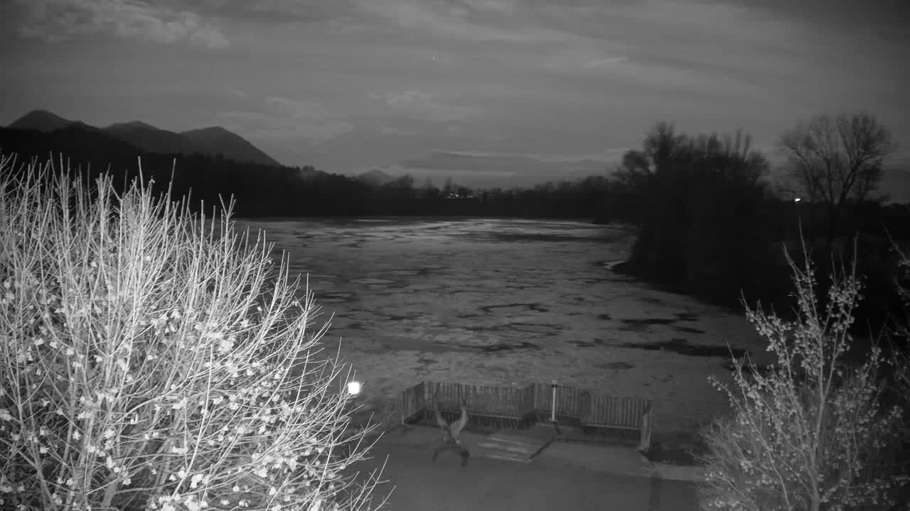 Webcam Ribnik Vrbje – Žalec