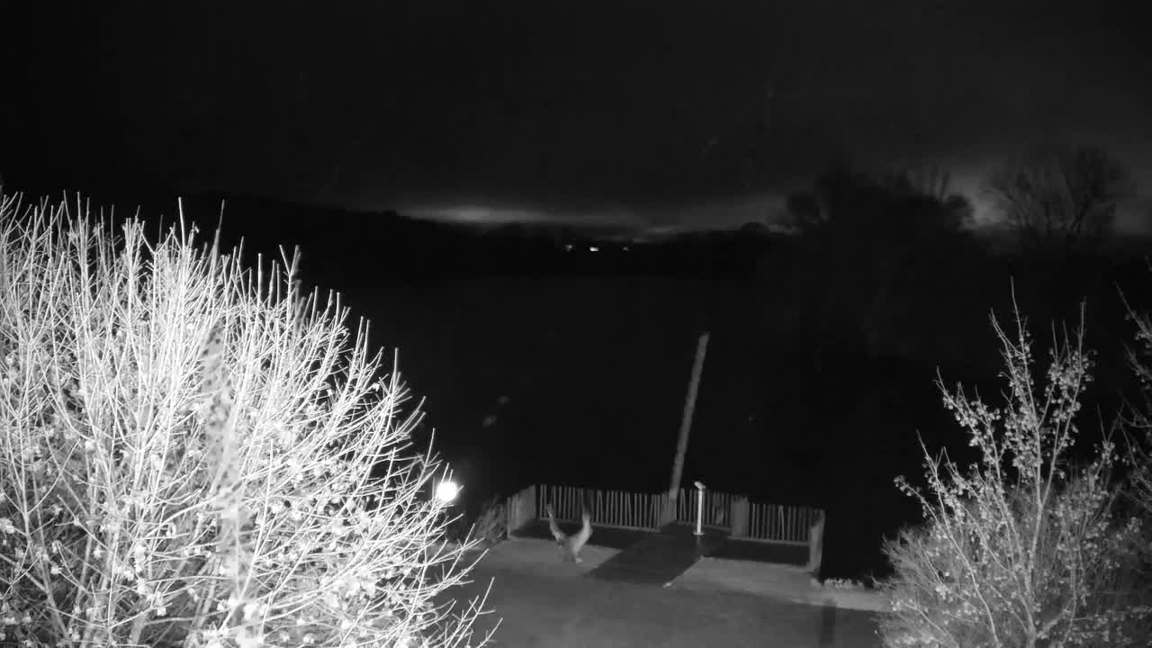 Spletna kamera Ribnik Vrbje – Žalec