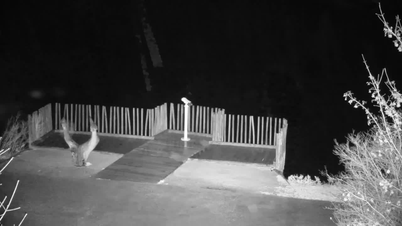 Webcam Ribnik Vrbje – Žalec