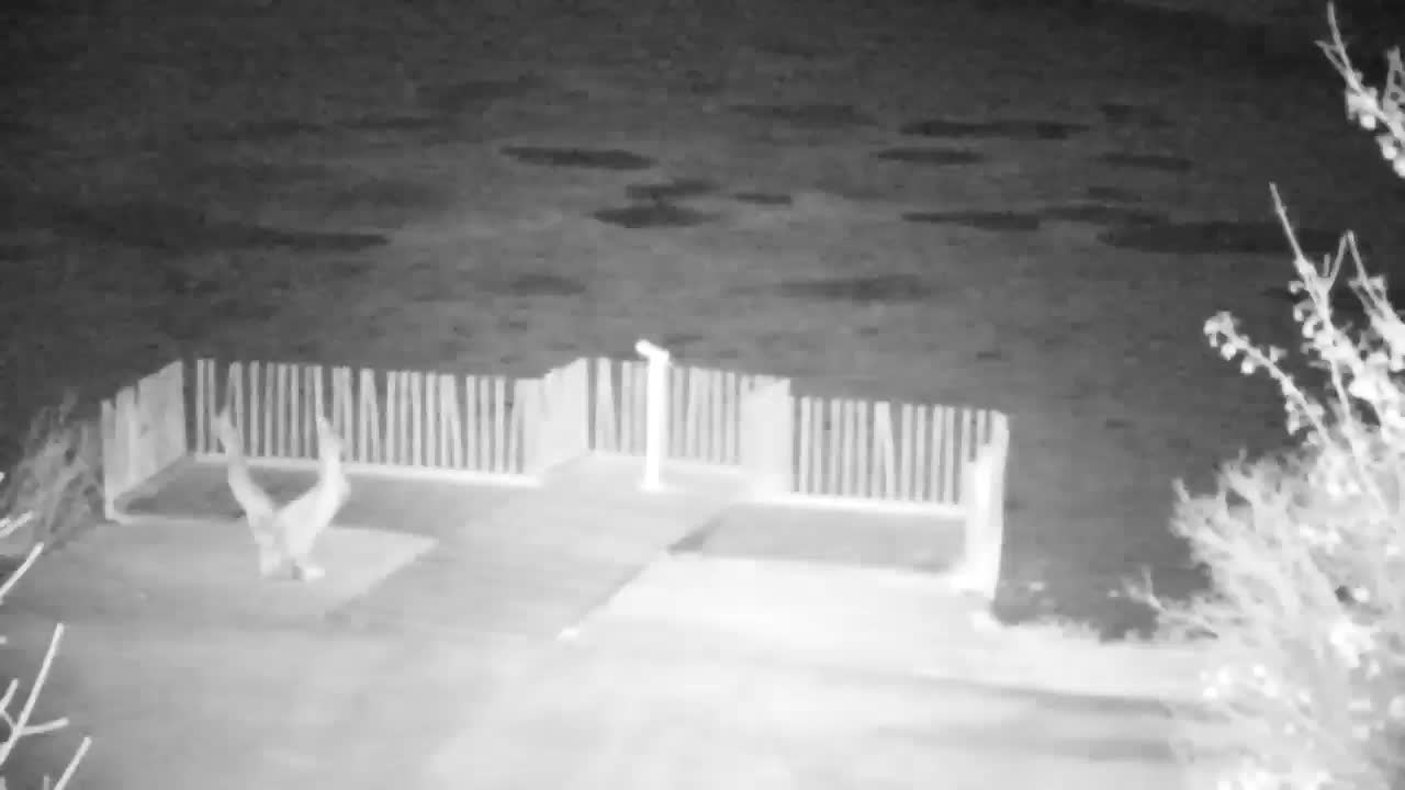 Webcam Ribnik Vrbje – Žalec