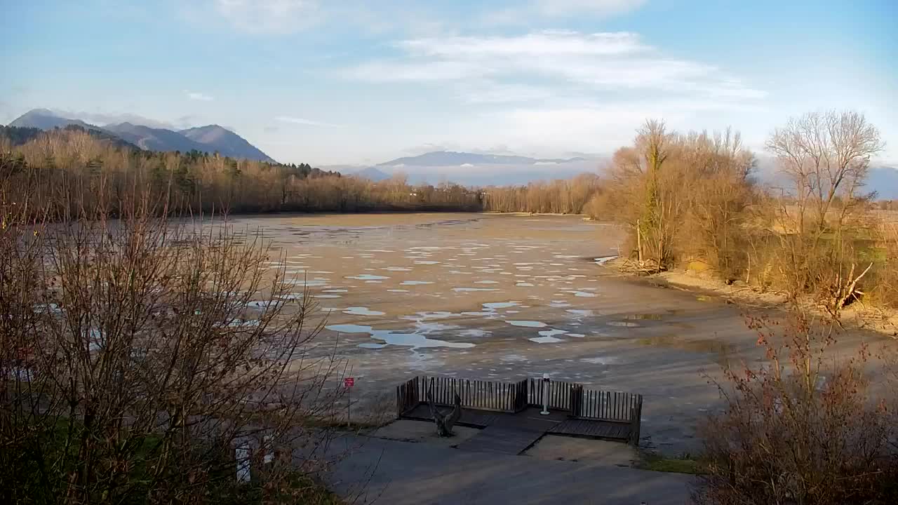 Webcam Ribnik Vrbje – Žalec