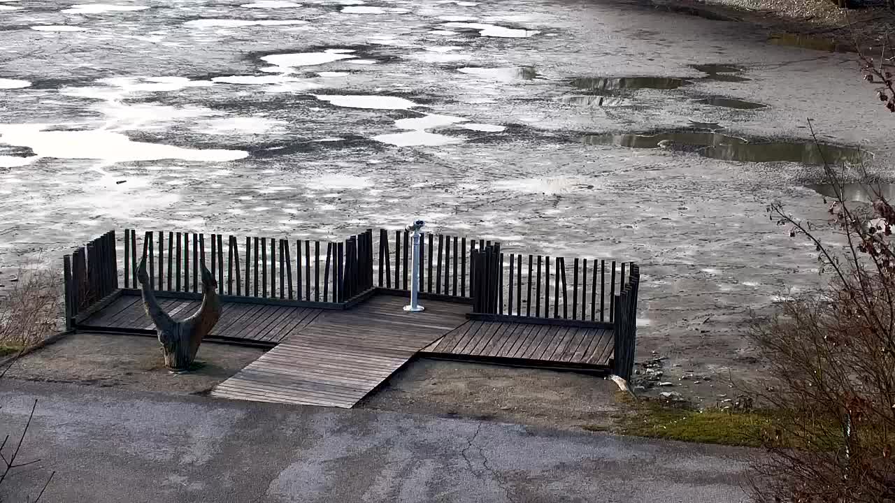 Web kamera Ribnik Vrbje – Žalec