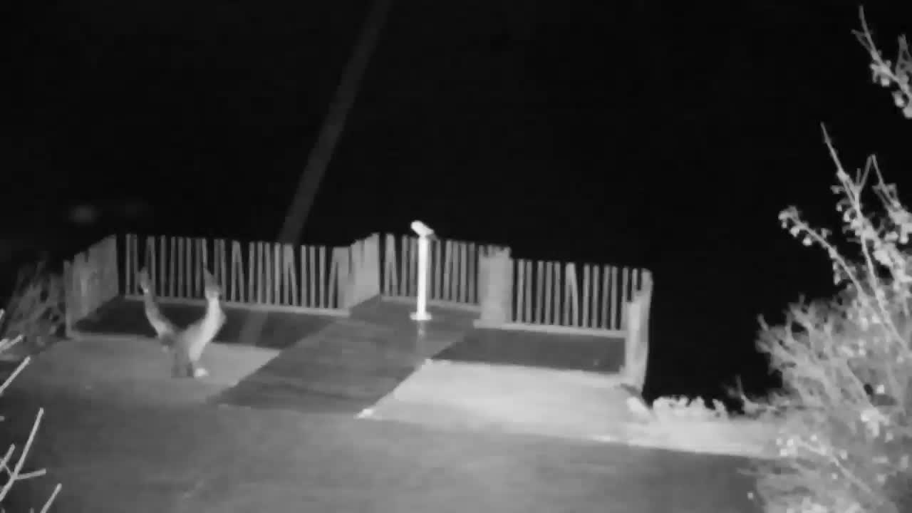 Webcam Ribnik Vrbje – Žalec