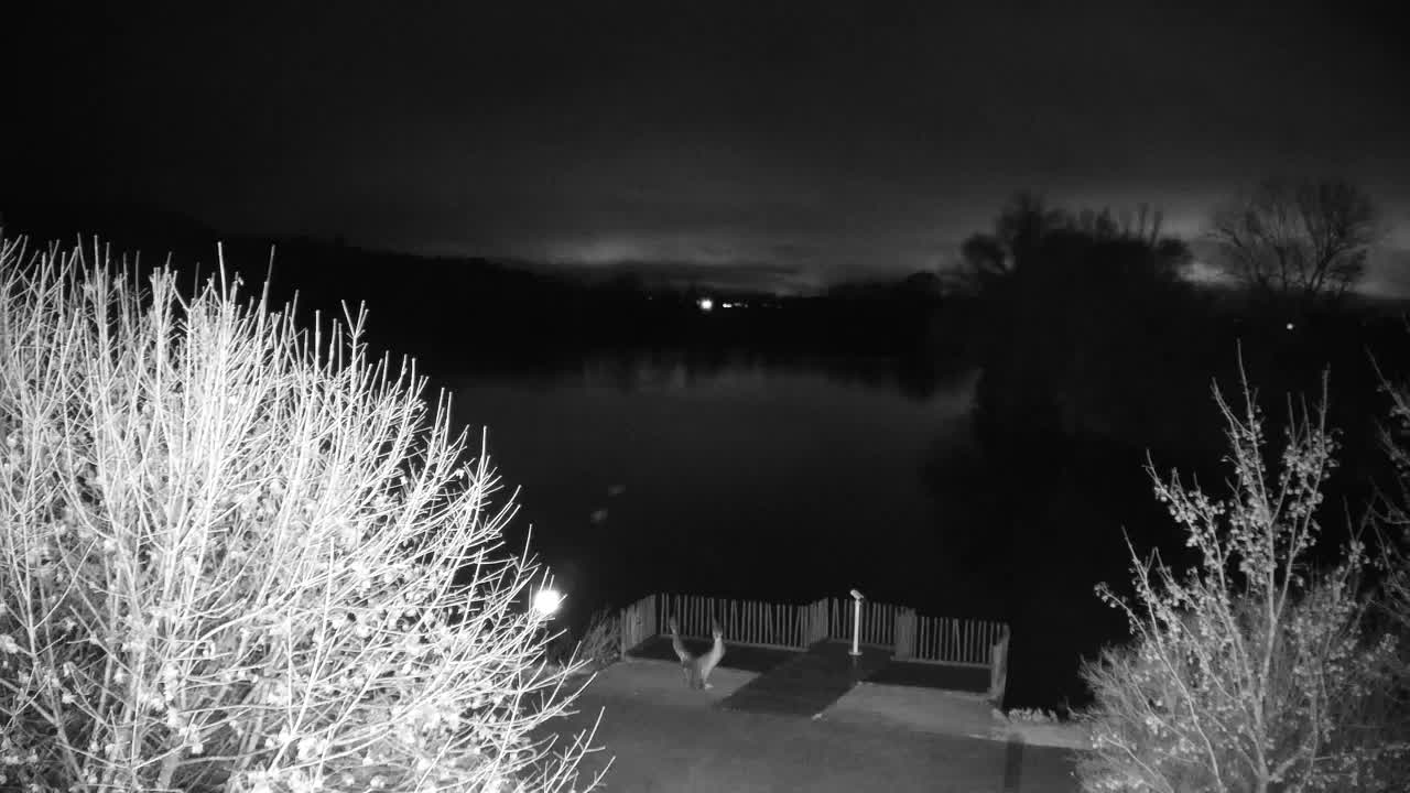 Webcam Ribnik Vrbje – Žalec