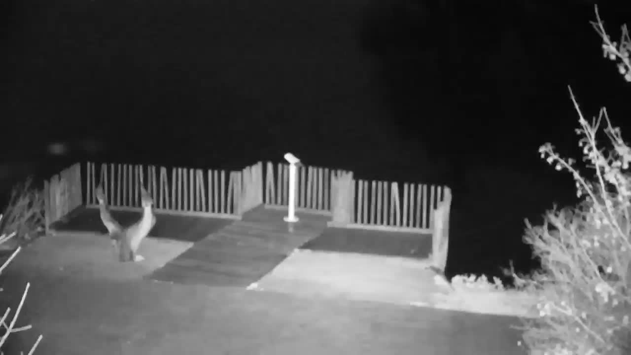 Webcam Ribnik Vrbje – Žalec