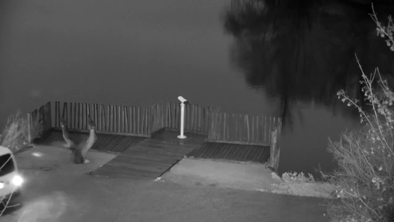 Webcam Ribnik Vrbje – Žalec