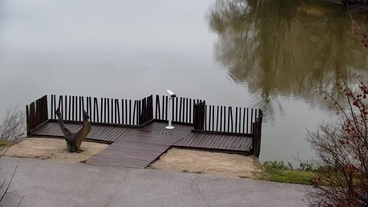 Webcam Ribnik Vrbje – Žalec