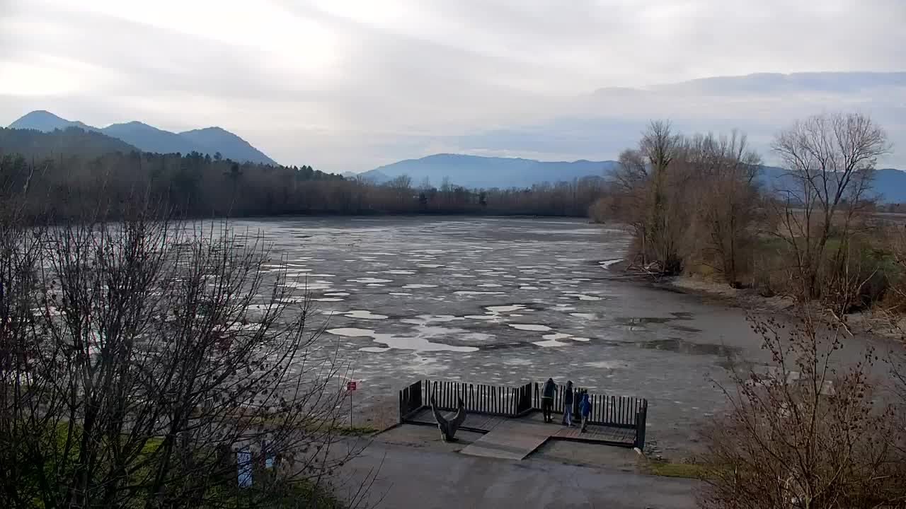 Webcam Ribnik Vrbje – Žalec