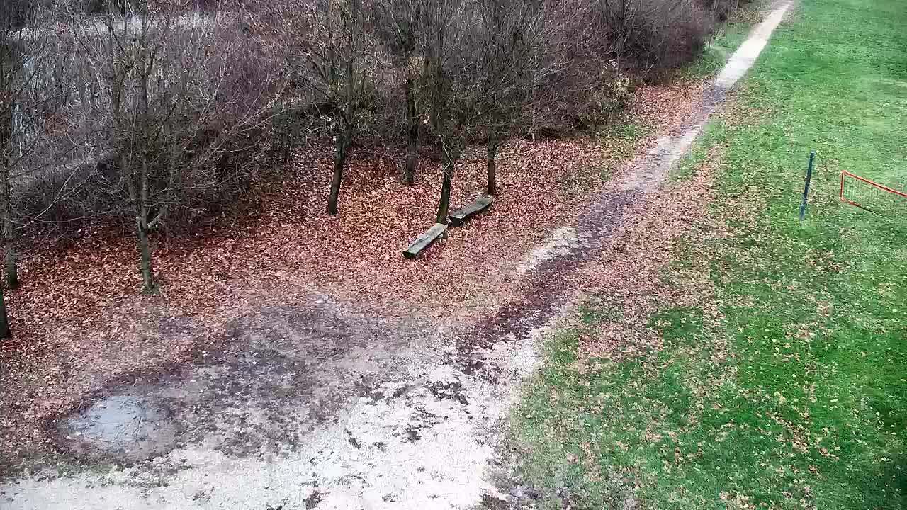 Webcam Ribnik Vrbje – Žalec