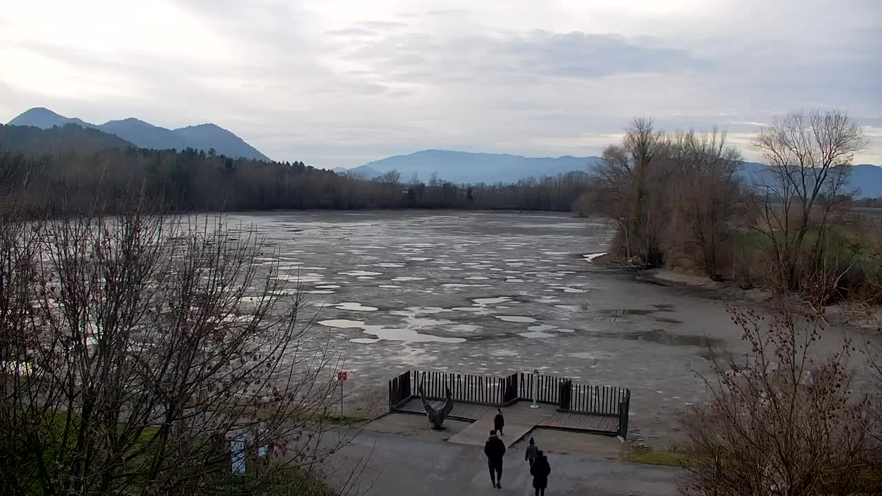 Webcam Ribnik Vrbje – Žalec