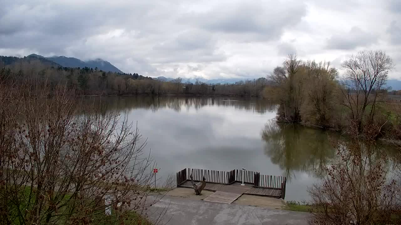 Webcam Ribnik Vrbje – Žalec